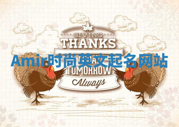 Amir时尚英文起名网站