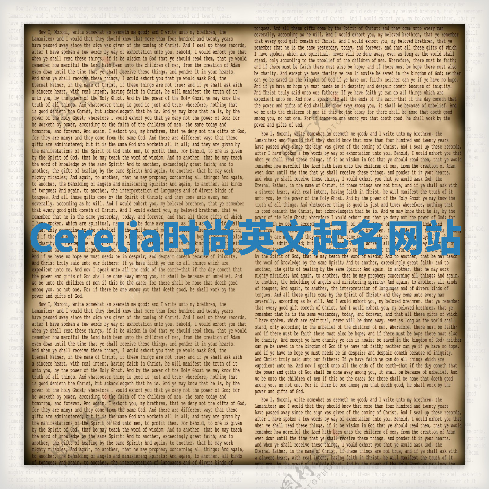 Cerelia时尚英文起名网站 Cerelia时尚英文起名网站