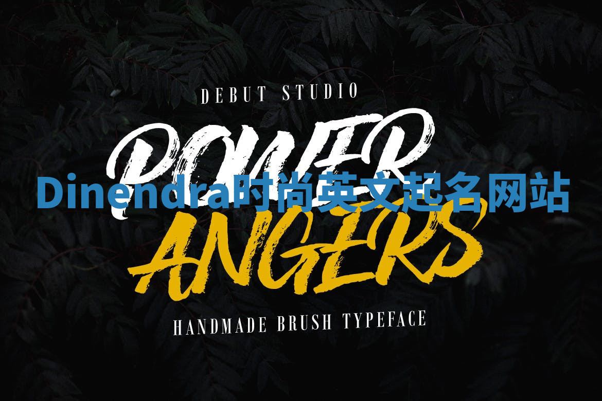 Dinendra时尚英文起名网站