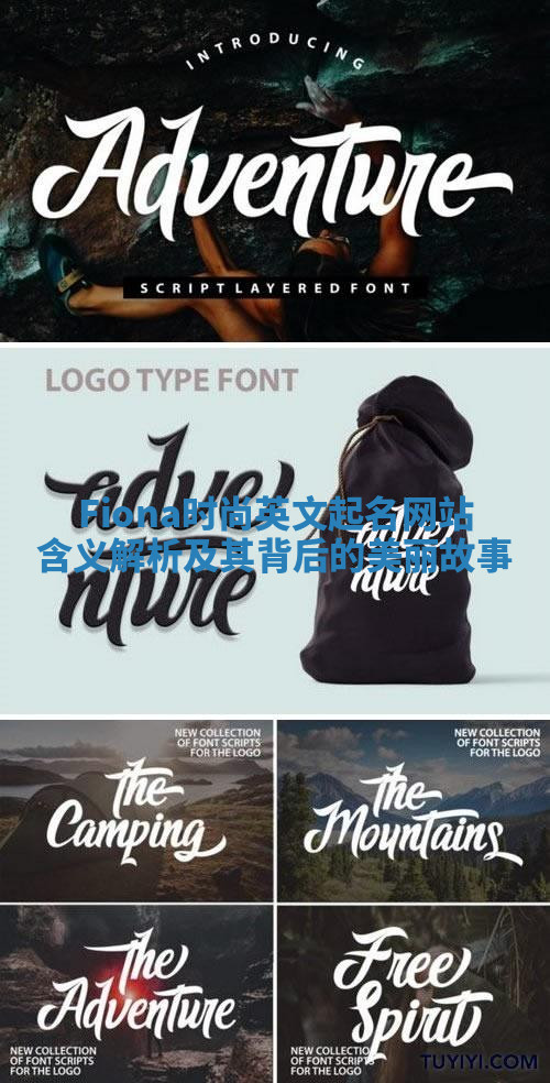 Fiona时尚英文起名网站含义解析及其背后的美丽故事