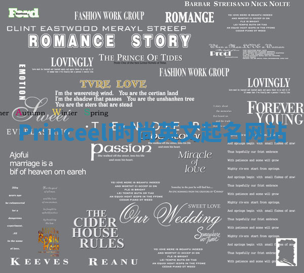 Princeeli时尚英文起名网站 Princeeli时尚英文起名网站