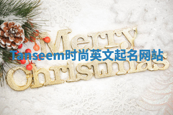 Tanseem时尚英文起名网站