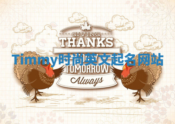Timmy时尚英文起名网站 Timmy时尚英文起名网站