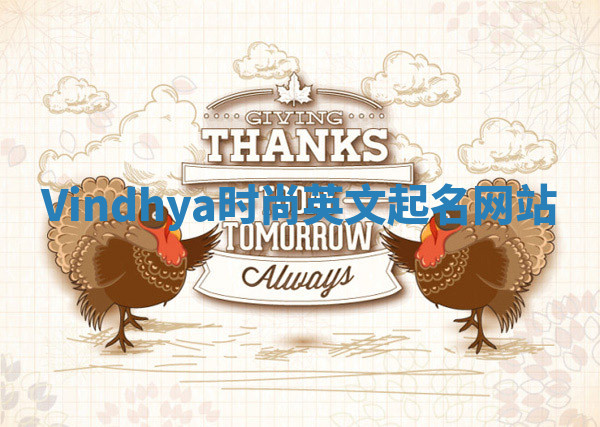 Vindhya时尚英文起名网站 Vindhya时尚英文起名网站