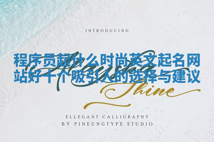 程序员起什么时尚英文起名网站好十个吸引人的选择与建议
